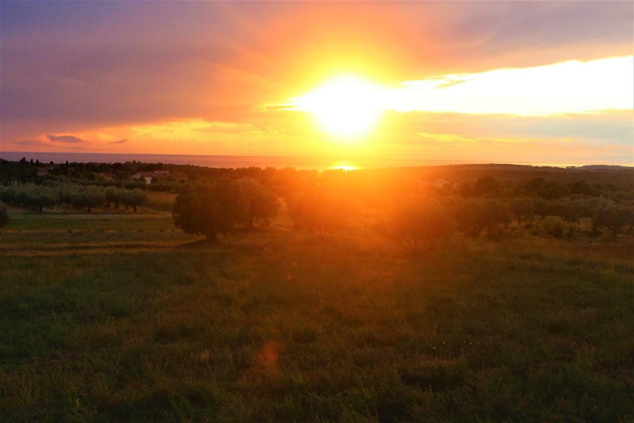 Apartament Horizont